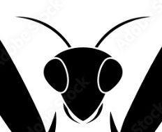 Mantis_Man's Avatar